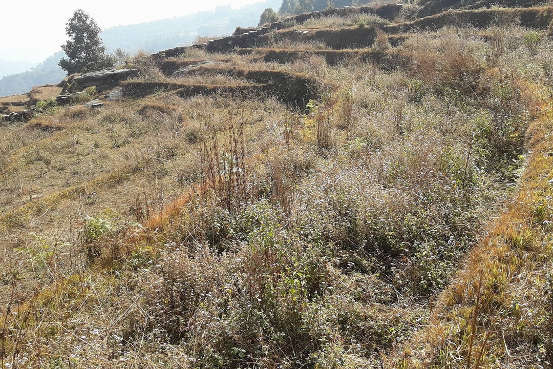 प्रतीकात्मक तस्वीर ।